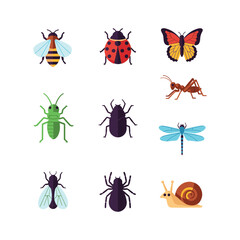 collection of insects