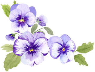 Purple Pansies Watercolor Illustration on Isolated Background Clipart Hand Drawn and Painted