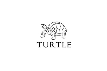 vector illustration of an turtle with white background