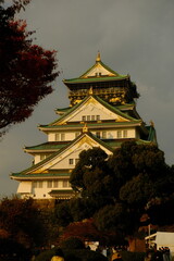 Fototapeta premium Osaka Castle