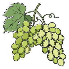 Fototapeta premium Bunch of Purple and Green Grapes with Leaf and Tendril Keywords: grapes, bunch, fruit, green grapes, purple