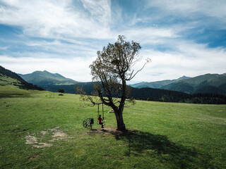Woman swinging on flowering grassland mountain top