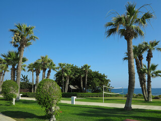 Beautiful landskape, palm trees and sun loungers at luxury resort