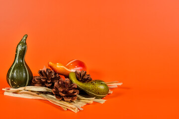 Autumn still life with gourd, pine cone, dried leaf, and vibrant orange background creating a warm...