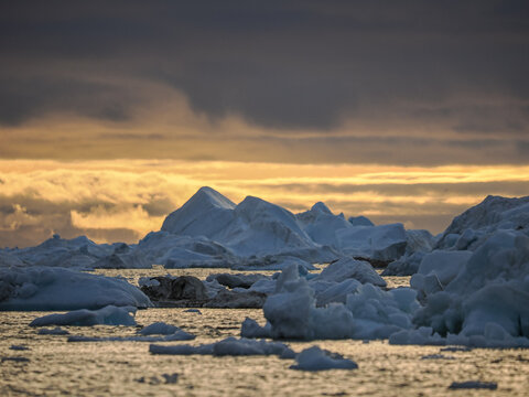 Icebergs floating in calm Arctic waters under a dramatic sunset sky with golden light and dark clouds.