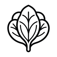 Spinach leaves close up showing texture and veins in detail