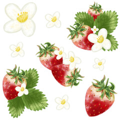 Strawberry watercolor set illustration, strawberry fruit arrangement design with green leaves and white flowers for decorative template.