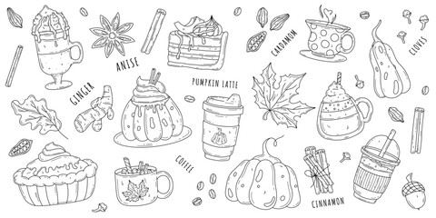 Hand drawn pumpkin latte set. Cups, mugs, spices, leaves. Outline isolated vector elements of autumn hot drink. Cinnamon rolls, ginger, clove. cardamom, coffee beans, star anise