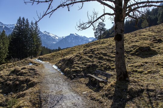 Hiking trail near Hinterstein, Bad Hindelang, Oberallg&auml;u, Allg&auml;u, Bavaria, Germany