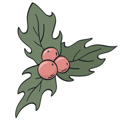 Hand drawn Christmas doodle of holly with leaves, PNG cartoon element, clipart, sticker design for prints, cards, posters, banners, social media, etc.