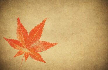 Autumn leaves over vintage background. Perfect grunge fall texture.