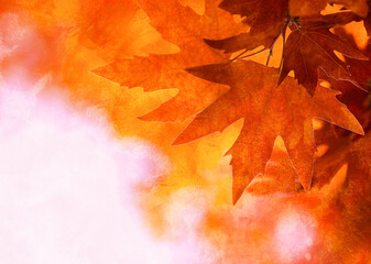 Grunge artistic background with autumn leaves. Perfect vintage fall texture.