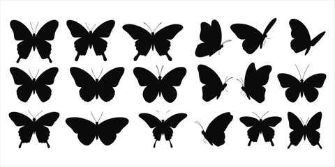 Black silhouette butterflies in various poses and orientations on white background Keywords: butterfly, silhouette, insect © rayhan039