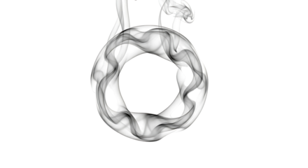 A swirling, graceful ring of smoky gray forms a captivating circle against a stark black backdrop.