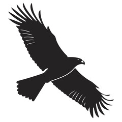 eagle in flight