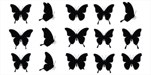 Fototapeta premium Collection of black butterfly silhouettes in various flying and resting poses on white insect wings