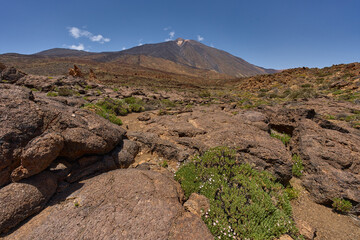 Cracked lava field and Teide