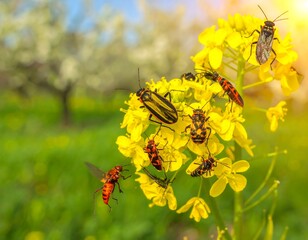 Insects on a bright yellow flower cluster in a garden setting