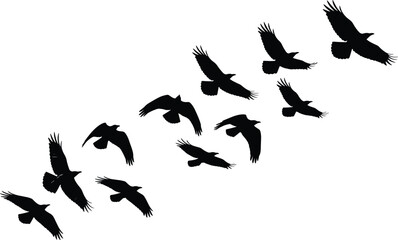 Flying bird silhouettes in formation, black bird flock in motion, nature wildlife vector, birds soaring in sky, freedom and flight