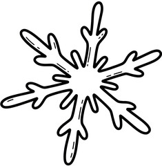 Fototapeta premium snowflake