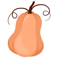Orange Gourd vector style 