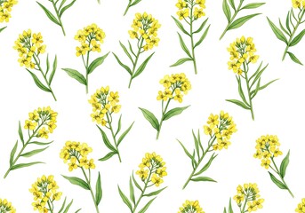 Seamless Pattern Watercolor Yellow Rape Flowers Botanical Spring White