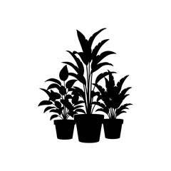 Group of potted plants silhouette isolated on white background