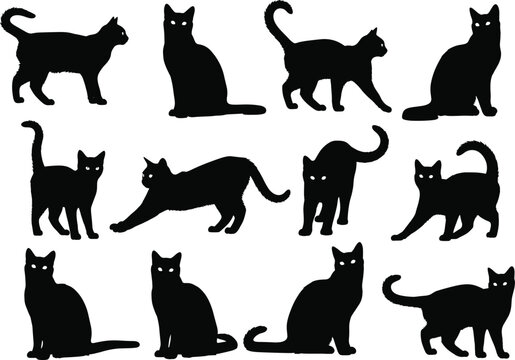 Set of black cat silhouettes in various poses, spooky Halloween theme, domestic feline vector design, isolated animal illustration graphic