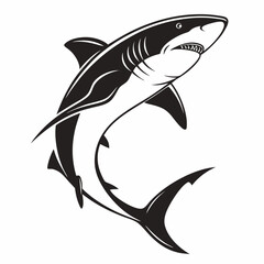 vector of shark