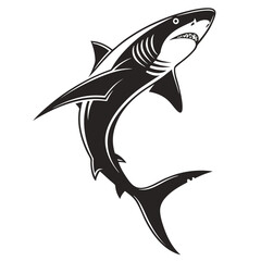 shark vector illustration