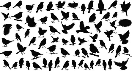 Bird, Silhouette, Flying, Perched, Pose, Animal, Nature, Vector, Black, Minimalist, Line, Art, Wing, Motion, Species, Wildlife, Set, Grid, Flight, Collection