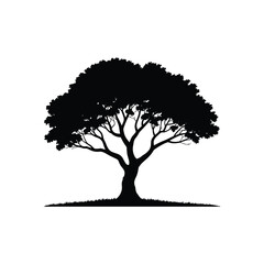 Fototapeta premium Silhouetted tree with spreading branches and lush foliage isolated