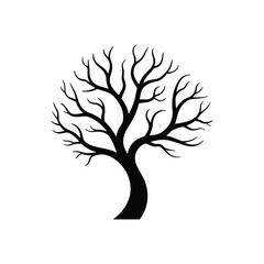 Silhouette of a bare tree with intricate branches evoking winter or autumn seasons