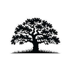 Majestic silhouette of a mature oak tree with lush foliage on a white canvas