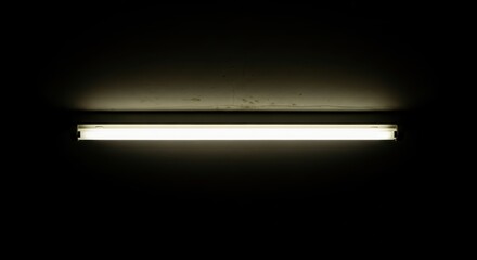 A single fluorescent light tube illuminates a dark room from the ceiling casting a
