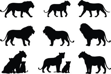 Lion silhouettes set, male lion, lioness, cubs, walking and sitting poses, wild animal vector illustration for safari design