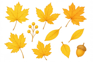 Watercolor illustration of autumn foliage and acorn on a clear backdrop, ideal for autumn-inspired projects