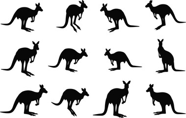 Kangaroo silhouettes set, Australian wildlife animal standing, jumping and grazing, marsupial vector illustration for zoo, nature, safari and design