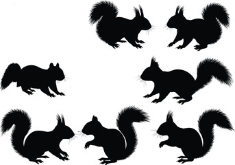 Squirrel silhouette illustration set, woodland animal vector art with bushy tail, wildlife graphic for nature, forest and animal designs