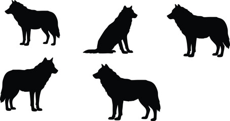 Wolf silhouettes set, wild predator animal vector illustration, wolf poses collection, forest wildlife design for nature, outdoor, camping artwork
