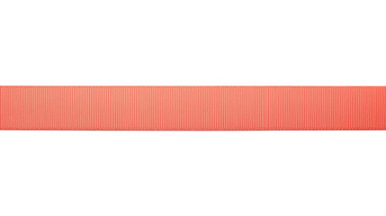 Christmas Decorative Ribbon Seamless Border
