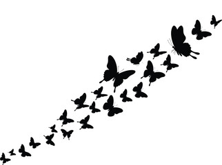 Butterfly swarm silhouette in diagonal upward flight, elegant insect vector design, black butterflies group, decorative wildlife illustration, flying butterfly pattern