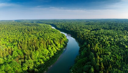 Obraz premium river flowing through verdant forest from aerial view