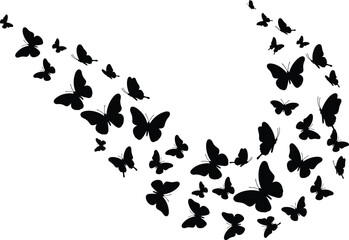 Butterfly silhouettes flying in curved V-shape formation, black insect swarm vector illustration, group of butterflies in motion, isolated design