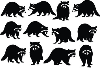 Raccoon silhouette collection, wild animal vector illustration, raccoon icon design, forest creature outline, raccoon clipart set, wildlife graphic art