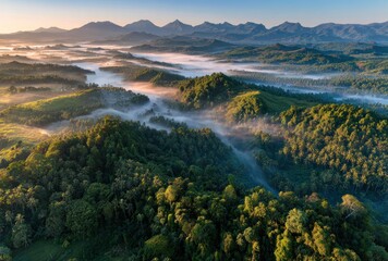 Verdant hills shrouded in morning mist, illuminated by golden sunlight with distant mountains silhouetted against the brightening sky