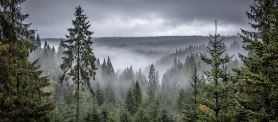 A misty forest scene unfolds with layers of trees shrouded in fog, creating a mysterious and ethereal atmosphere under a cloudy sky