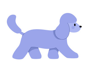 Stylized poodle dog with neat haircut. Cute puppy vector illustration for pet shop, veterinarian, animal haircut design on white isolated background.

