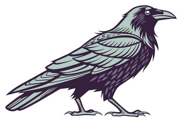 crow on a white background