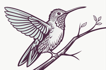 vector illustration of a dove